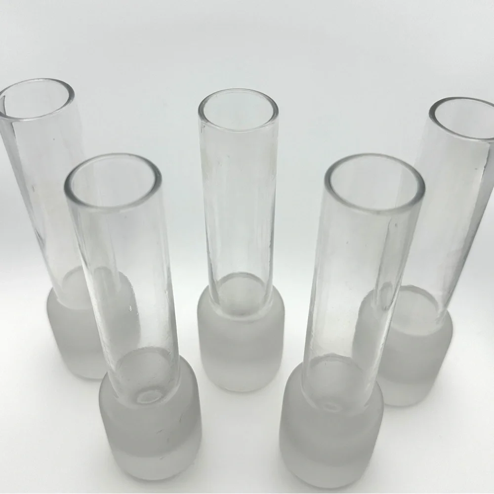 Small Clear Glass Tube Plant Propagation Vase Chunky Base Frosted Glass Bud Vase